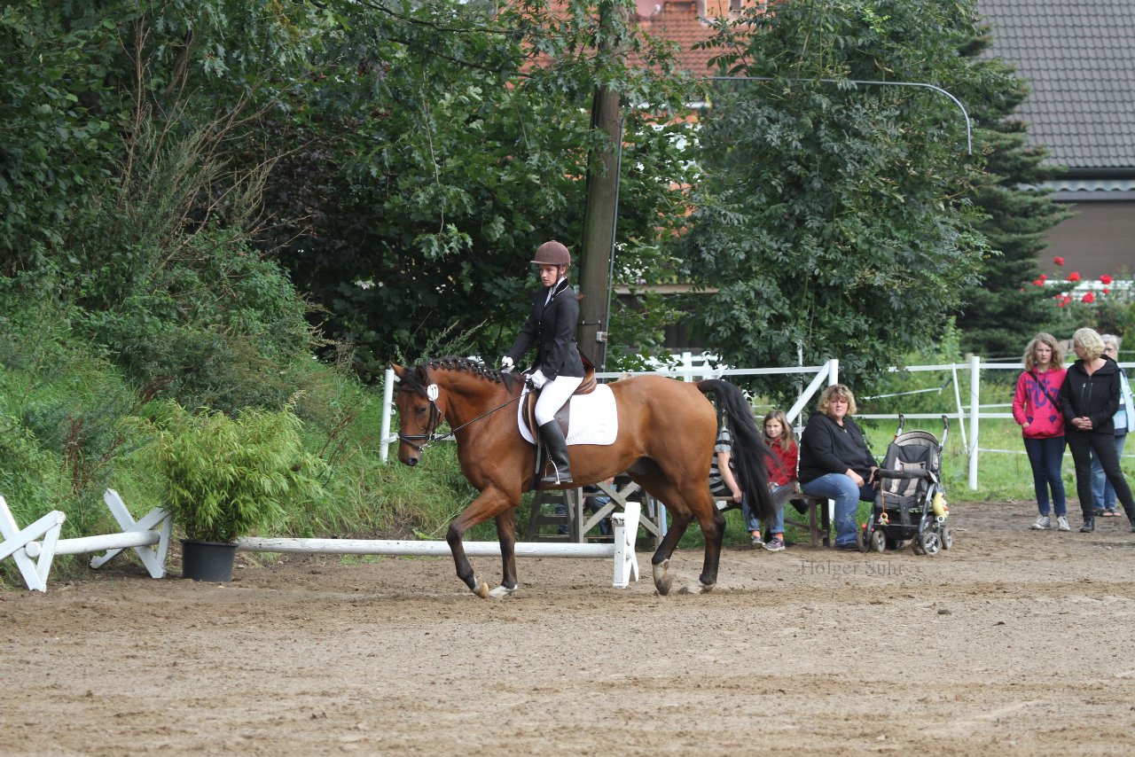 Bild 204 - WBO-Turnier am 18.9.11